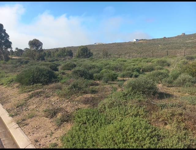 450M² VACANT LAND FOR SALE IN STEENBERGS COVE